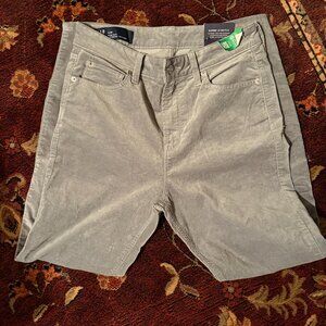 NWT Women’s Gap Grey Velvet Jegging size 8 / 29R